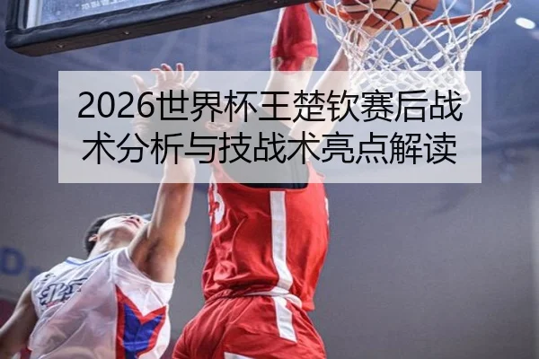 2026世界杯王楚钦赛后战术分析与技战术亮点解读